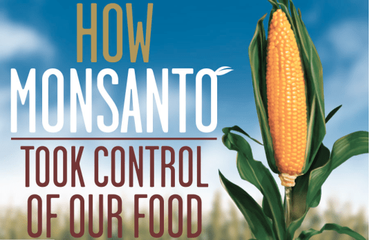 Monsanto Infographic